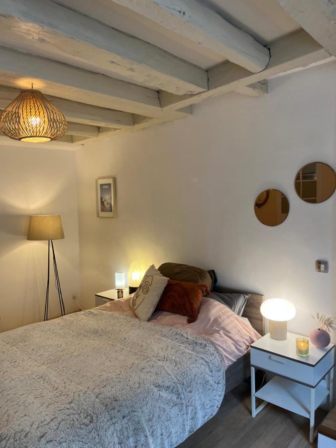 Good Vibes Apartment Grenoble Bagian luar foto