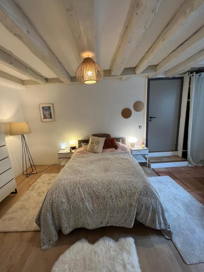 Good Vibes Apartment Grenoble Bagian luar foto